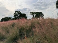 -苏州湾体育公园