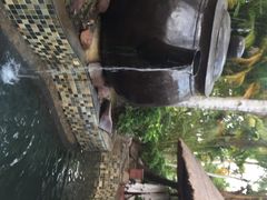 珠江南田温泉-三亚珠江南田温泉度假区