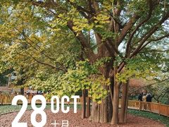 -香山公园