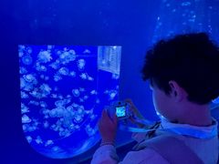 -左海海底世界