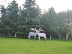 -后襄河公园