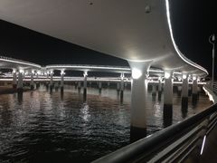 -演武大桥观景平台