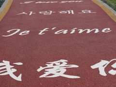 -九龙湖公园