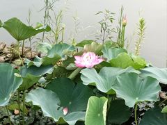 -石湖景区