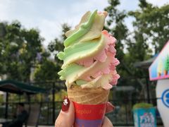 -厦门方特梦幻王国