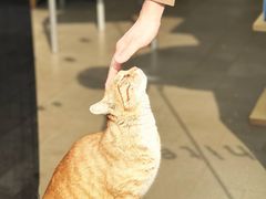 -HUGS coffee(东区店)