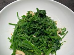 -鸽子侯·家宴·平价海鲜(绿地店)