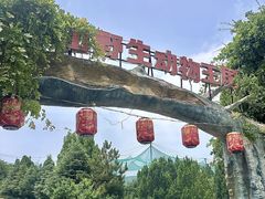 -五龙山野生动物王国