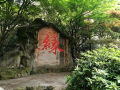 -杭州黄龙洞