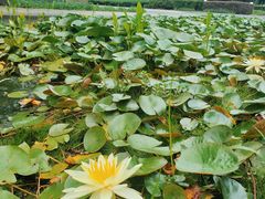 -白塘生态植物园