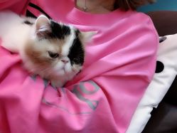 -沫儿·美甲美睫·半永久·皮肤管理