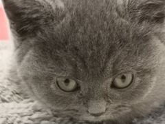 -庾氏龙虾馆(多弗汇店)