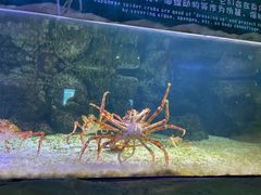 -珠海长隆海洋王国