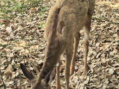 -上海交通大学(闵行校区)