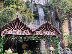 -西双版纳原始森林公园