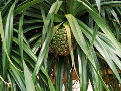 -那琴半岛地质海洋公园