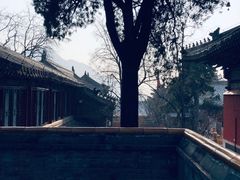 -潭柘寺景区