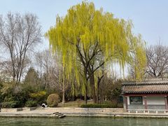 -济南大明湖景区