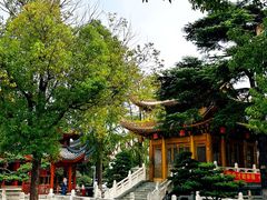 -上海东林寺(金山区)