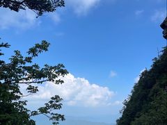 -牛背梁国家森林公园