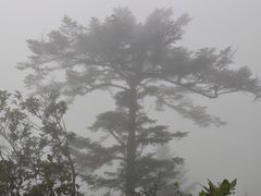 -九峰山