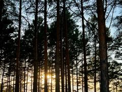 -北极村旅游风景区