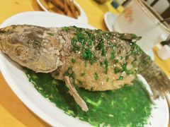 葱油鱼-粤北餐馆