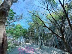 -桃花岛风景旅游区