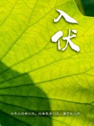 -宝馨月月子中心(友谊医院店)
