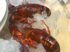 -怪怪龙虾·澳洲蓝龙王·深夜食堂(惊驾路店)