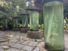 -青青世界