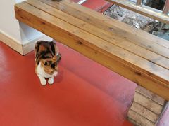 -龙华素斋(龙华路店)