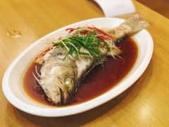 -台北楚楚园馅饼粥(虹桥南丰城店)