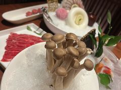 -揽季锅物会·海鲜姿造(五四路店)