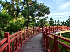 -养马岛旅游度假区