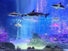 -沈阳海洋探索中心