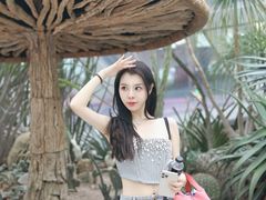 -新加坡丽思卡尔顿美年酒店