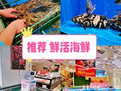 -盒马鲜生(双清路店)