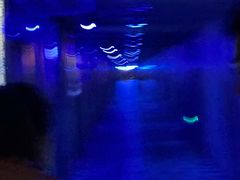 -白鹤梁水下博物馆
