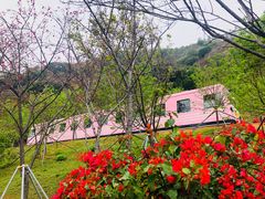 -小南山公园