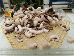 -漳州宾馆威尼斯西餐厅(胜利西路店)