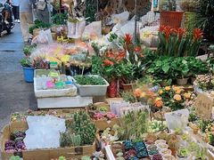 -循礼门鲜花花市(武汉循礼门店)