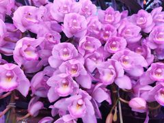 -三旗百汇商品城