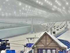 -哈尔滨热雪奇迹