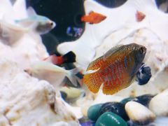 -七宝蔬菜农副产品综合交易市场-停车场