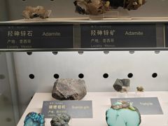-中国地质博物馆