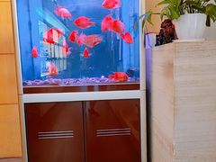 -宫七SPA·高端Massage(浦东大道店)