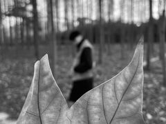 -河南省黄河迎宾馆