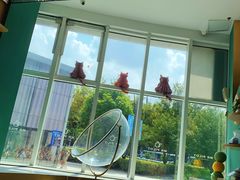 -飞行喵MR PILOT|猫舍·猫咖(静安大融城店)