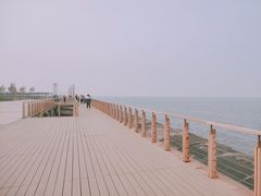 -东疆建设开发纪念公园
